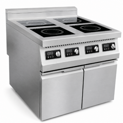 Commercial Induction Hot Plate Range Series (2–6 Zones)